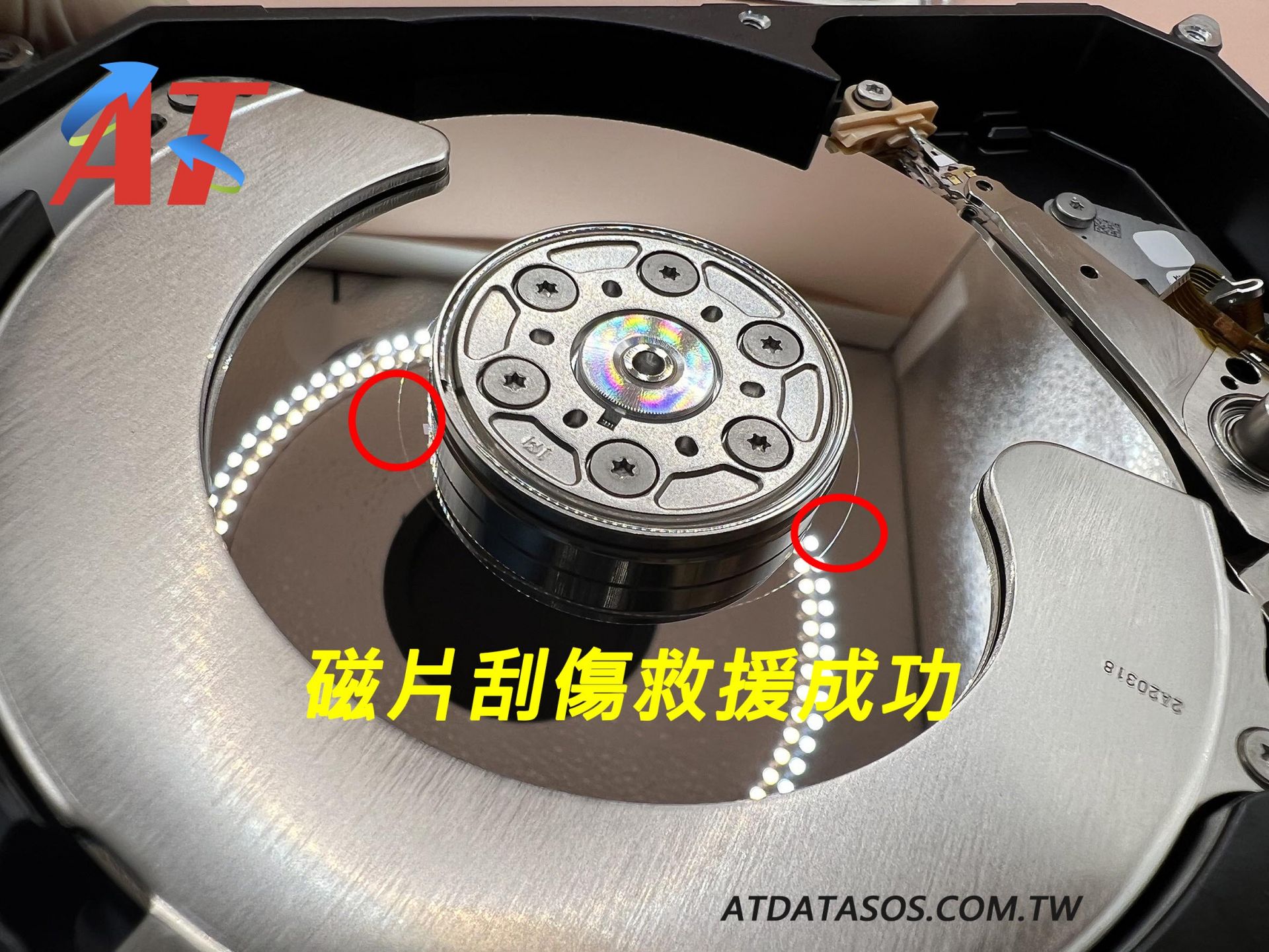張小姐/硬碟磁片